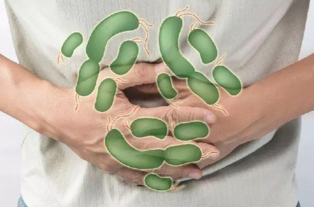 沙門氏菌感染途徑