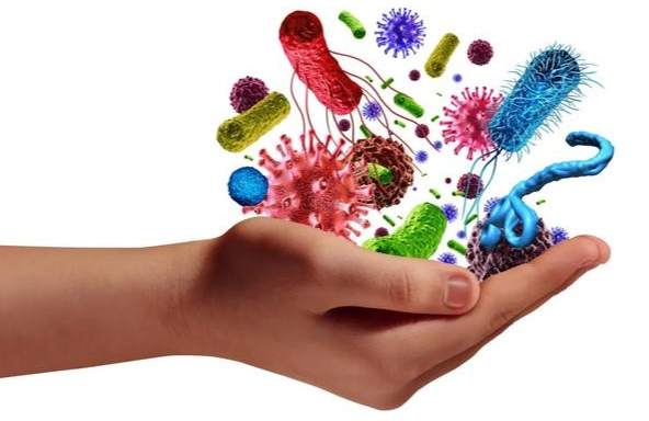 沙門氏菌感染治療