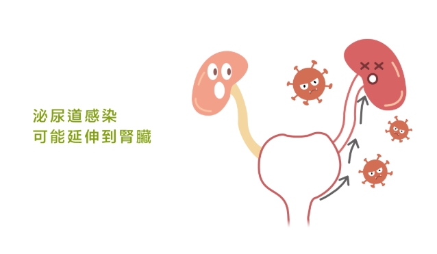 泌尿道感染護理目標