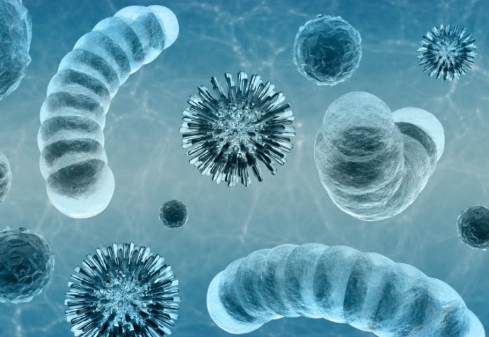 細菌感染吃什麼